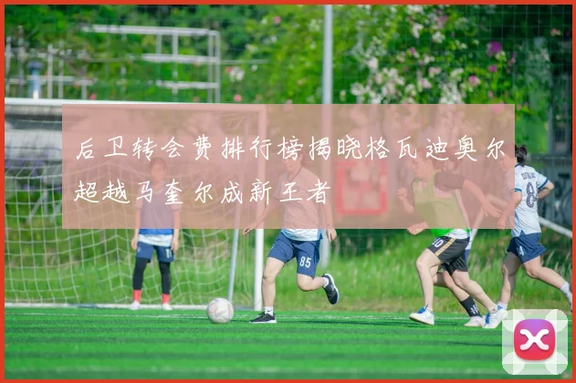 后卫转会费排行榜揭晓格瓦迪奥尔超越马奎尔成新王者