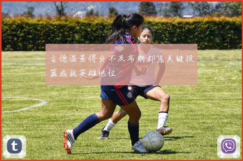 古德温虽得分不及布朗却凭关键投篮成就英雄地位