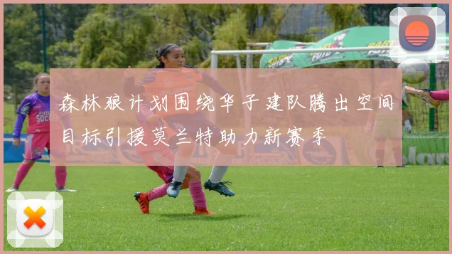 森林狼计划围绕华子建队腾出空间目标引援莫兰特助力新赛季